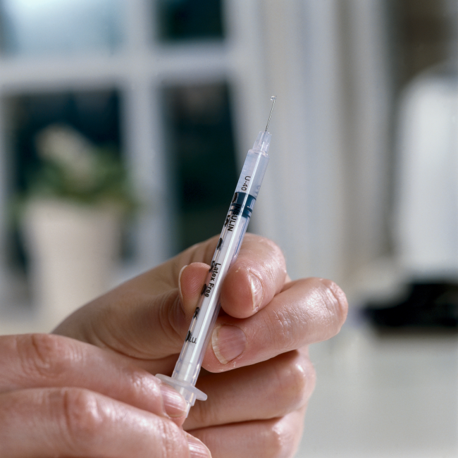 Caninsulin.com Syringe